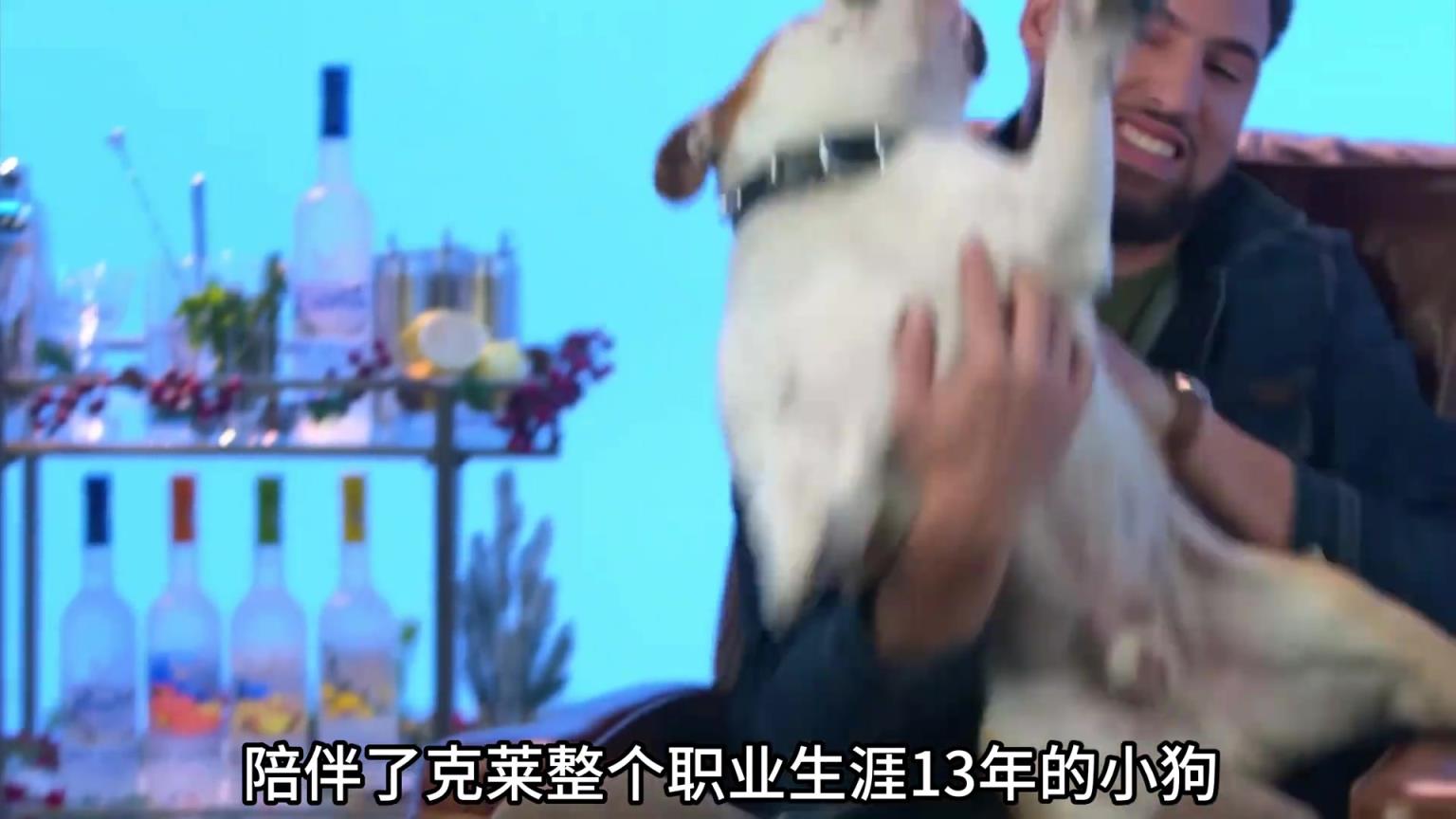 陪伴克萊13年的小狗去世了，不敢相信克萊得多么傷心